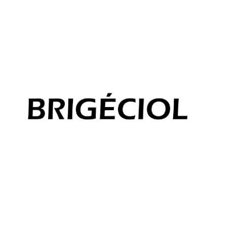 BRIGÉCIOL