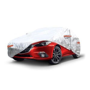 01110 carcover 01 ewvt fx.jpg