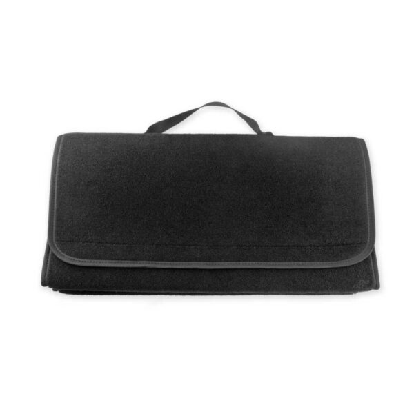 Organizatoare Auto AMIO AVX-AM02540 păreri