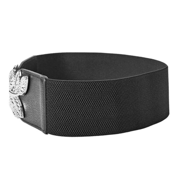 Accesorii Vestimentare Avex AVX-BQ53E păreri