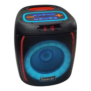 SPB BEAR BT 01.jpg