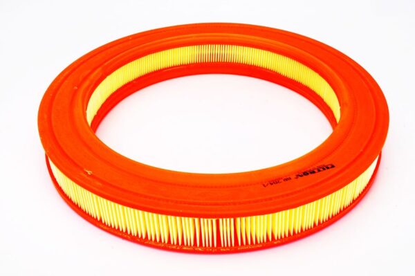 Filtre de aer FILTRON AR 204/1 păreri
