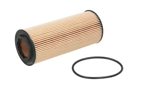 Filtre de ulei FILTRON OE 670/1 păreri