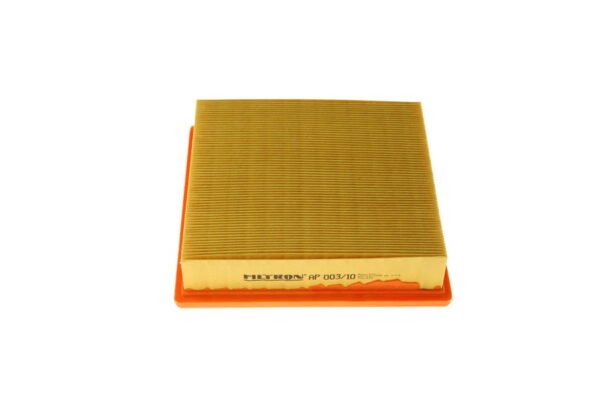Filtre de aer FILTRON AP 003/10 păreri