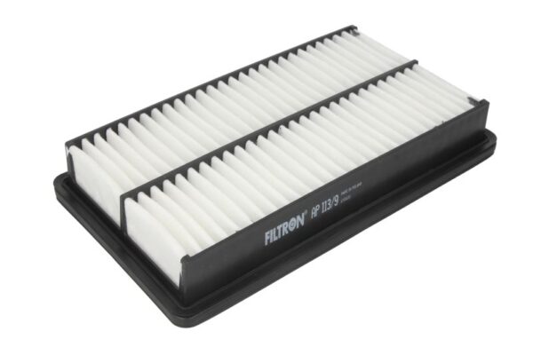 Filtre de aer FILTRON AP 113/9 păreri