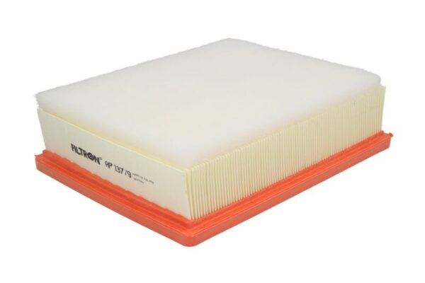 Filtre de aer FILTRON AP 137/9 păreri