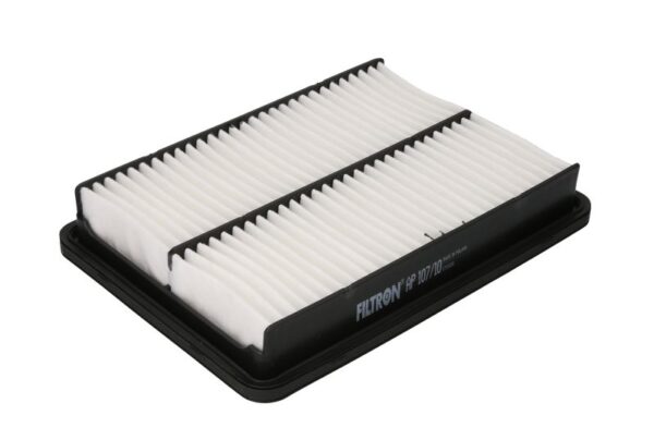 Filtre de aer FILTRON AP 107/10 păreri