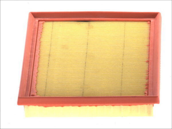 Filtre de aer FILTRON AP 170/3 păreri