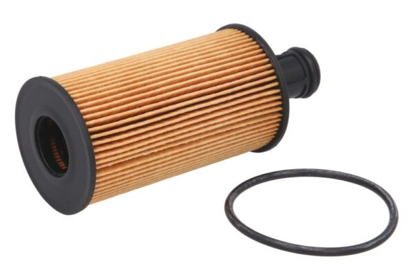 Filtre de ulei HENGST E1004H D672 păreri