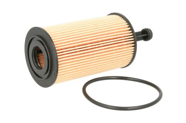 Filtre de ulei FILTRON OE 667 păreri