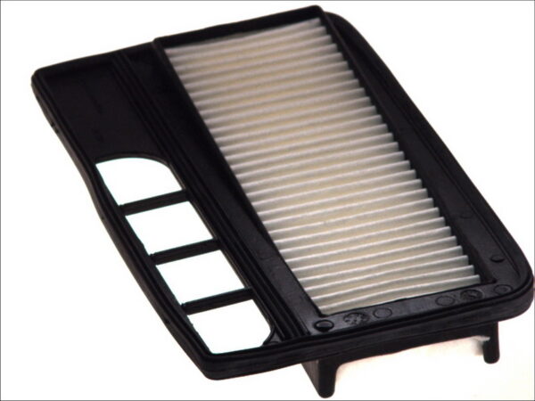Filtre de aer FILTRON AP 190/2 păreri