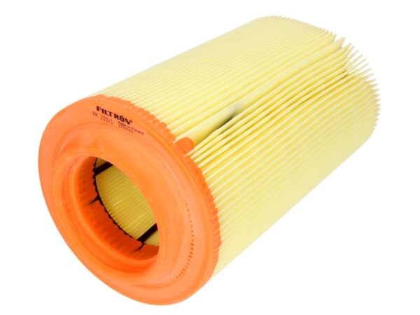Filtre de aer FILTRON AK 218/1 păreri