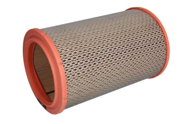 Filtre de aer FILTRON AR 257/3 păreri