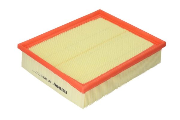 Filtre de aer FILTRON AP 129/3 păreri