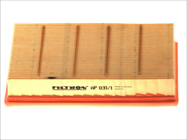 Filtre de aer FILTRON AP 031/1 păreri