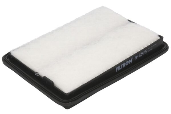Filtre de aer FILTRON AP 124/5 păreri