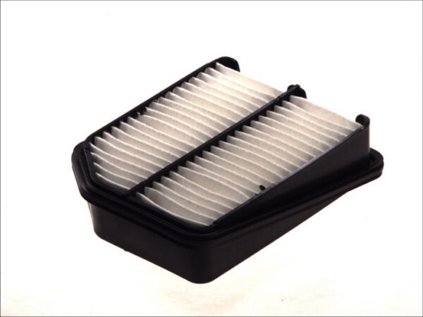 Filtre de aer FILTRON AP 173/2 păreri