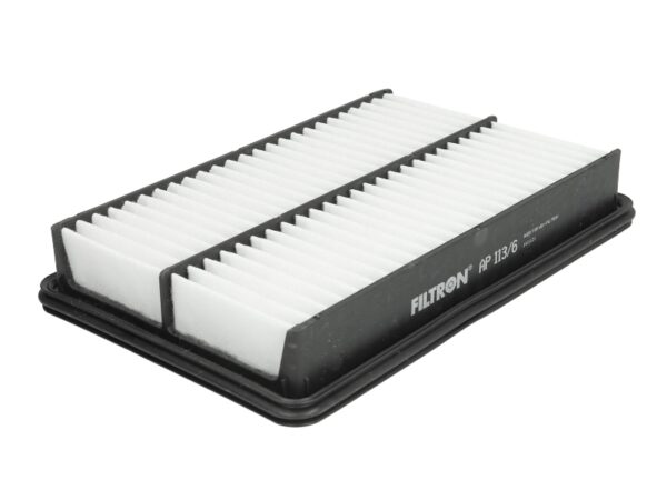 Filtre de aer FILTRON AP 113/6 păreri