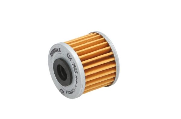 Filtre de ulei ZF OX793 păreri