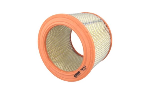 Filtre de aer FILTRON AM 463 păreri