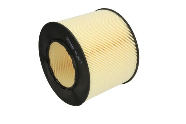 Filtre de aer FILTRON AR 366/2 păreri
