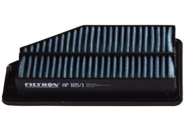 Filtre de aer FILTRON AP 105/1 păreri