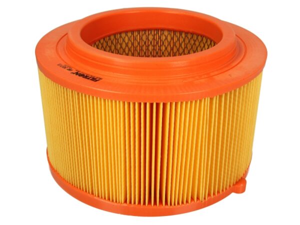 Filtre de aer FILTRON AR 307/3 păreri