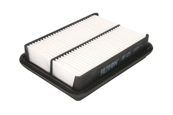 Filtre de aer FILTRON AP 125 păreri