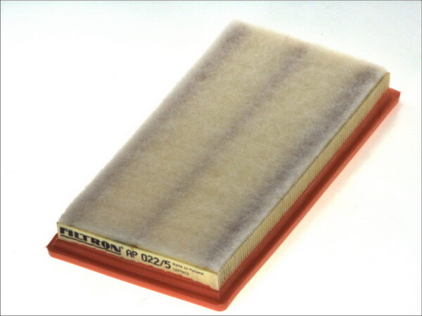 Filtre de aer FILTRON AP 022/5 păreri
