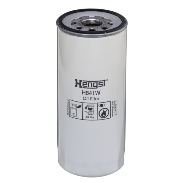 Filtre de ulei HENGST H841W păreri