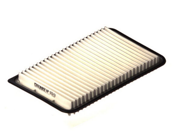 Filtre de aer FILTRON AP 113/3 păreri