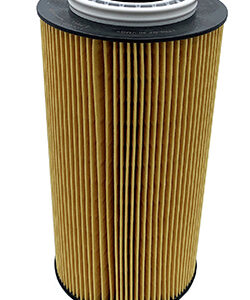 nep2n22lrjimidyf1rgp.jpg