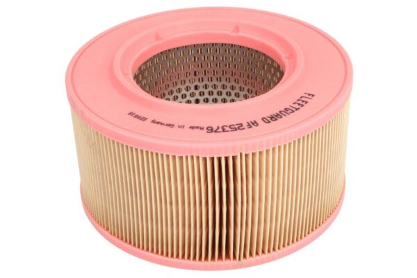 Filtre de aer FLEETGUARD AF25376 păreri