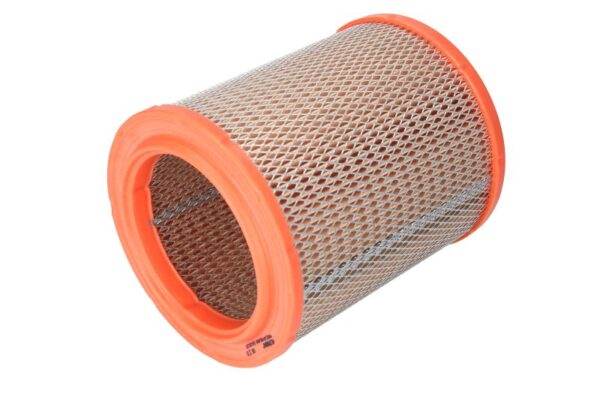 Filtre de aer FILTRON AR 231 păreri