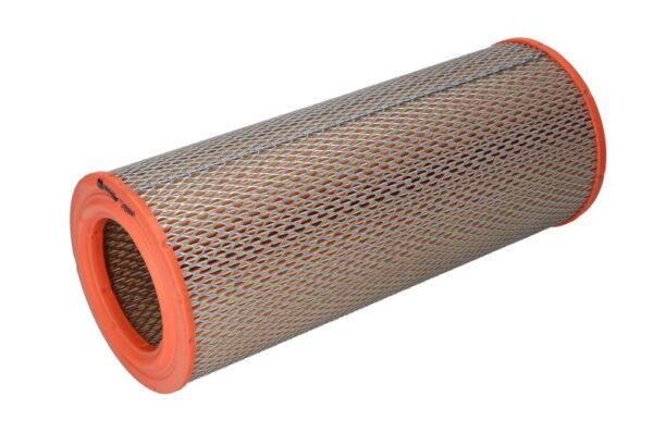 Filtre de aer FILTRON AR 233/1 păreri