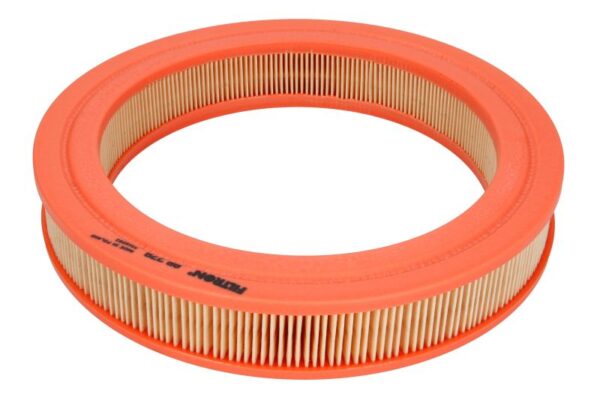 Filtre de aer FILTRON AR 278 păreri