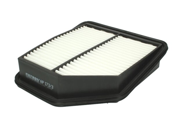 Filtre de aer FILTRON AP 173/3 păreri