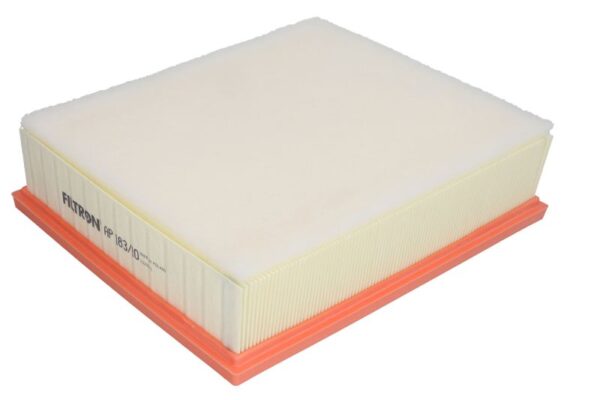 Filtre de aer FILTRON AP 183/10 păreri