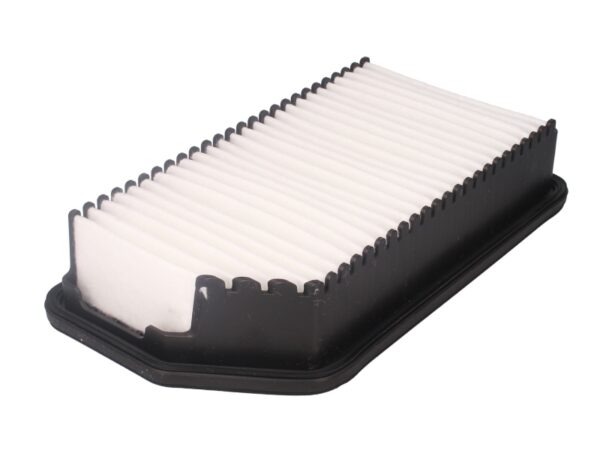 Filtre de aer FILTRON AP 122/2 păreri