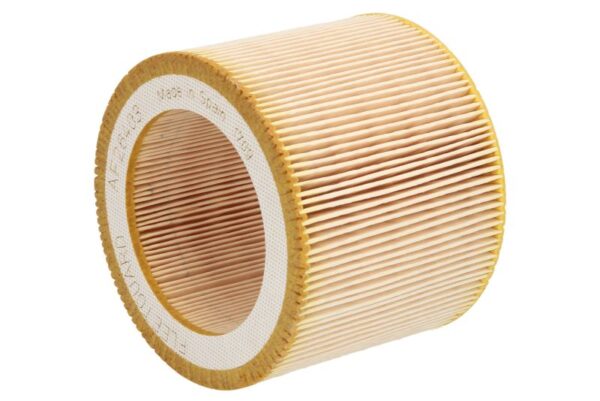Filtre de aer FLEETGUARD AF26403 păreri