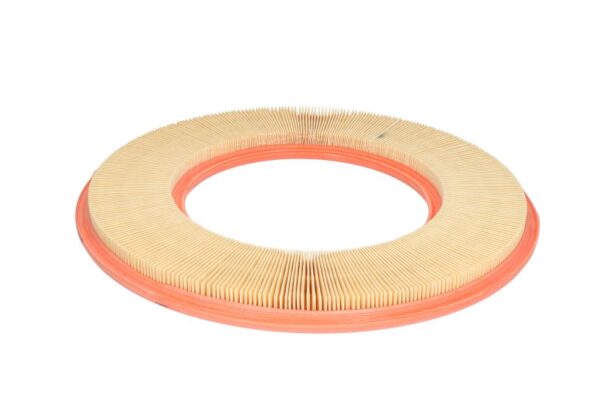 Filtre de aer FILTRON AP 027 păreri