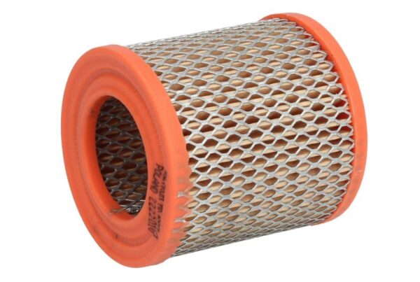 Filtre de aer FILTRON AR 237/1 păreri