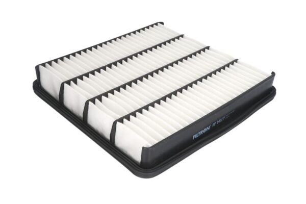 Filtre de aer FILTRON AP 143/7 păreri
