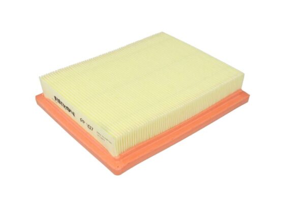 Filtre de aer FILTRON AP 107 păreri