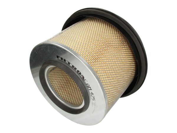 Filtre de aer FILTRON AM 425 păreri