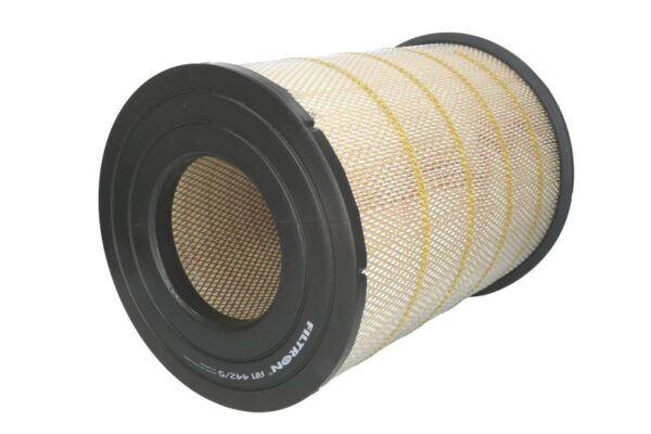 Filtre de aer FILTRON AM 442/5 păreri