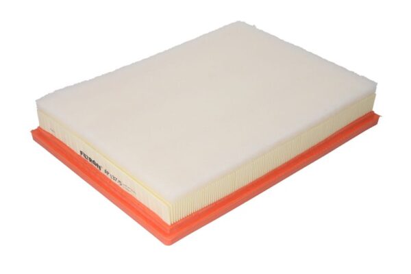 Filtre de aer FILTRON AP 137/5 păreri