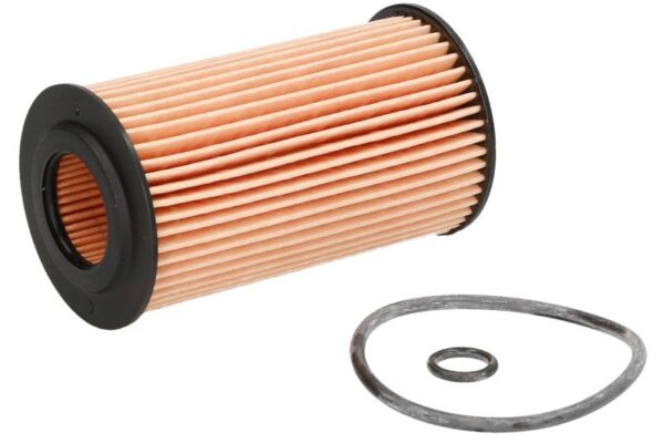 Filtre de ulei ZF PUR-PO5009 păreri