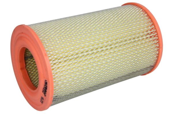 Filtre de aer FILTRON AR 256 păreri