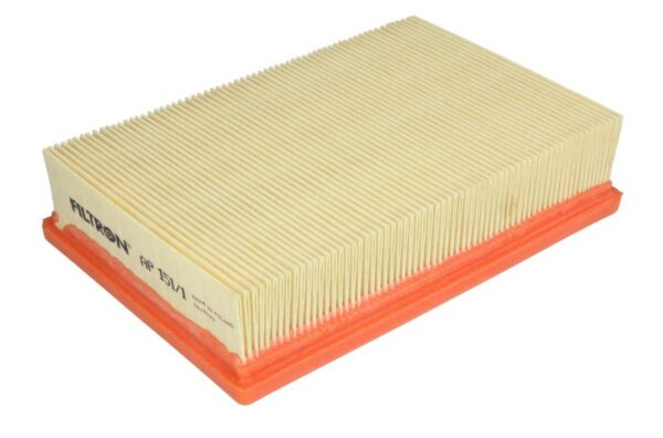 Filtre de aer FILTRON AP 151/1 păreri